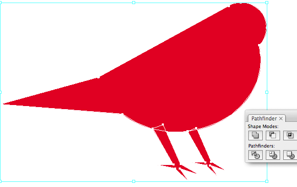 Drawing the paws of the bird