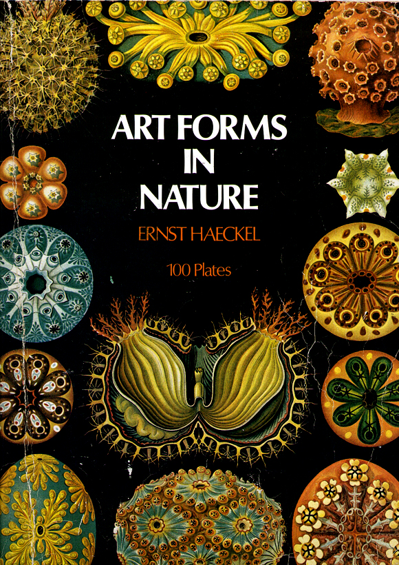 Cover Art forms in Nature