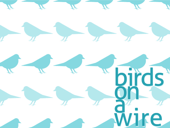 Final bird wallpaper