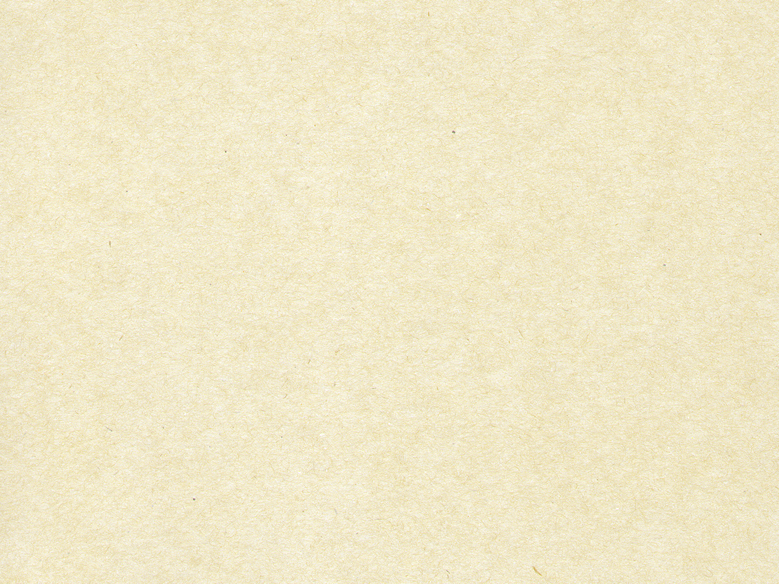 Texture 05